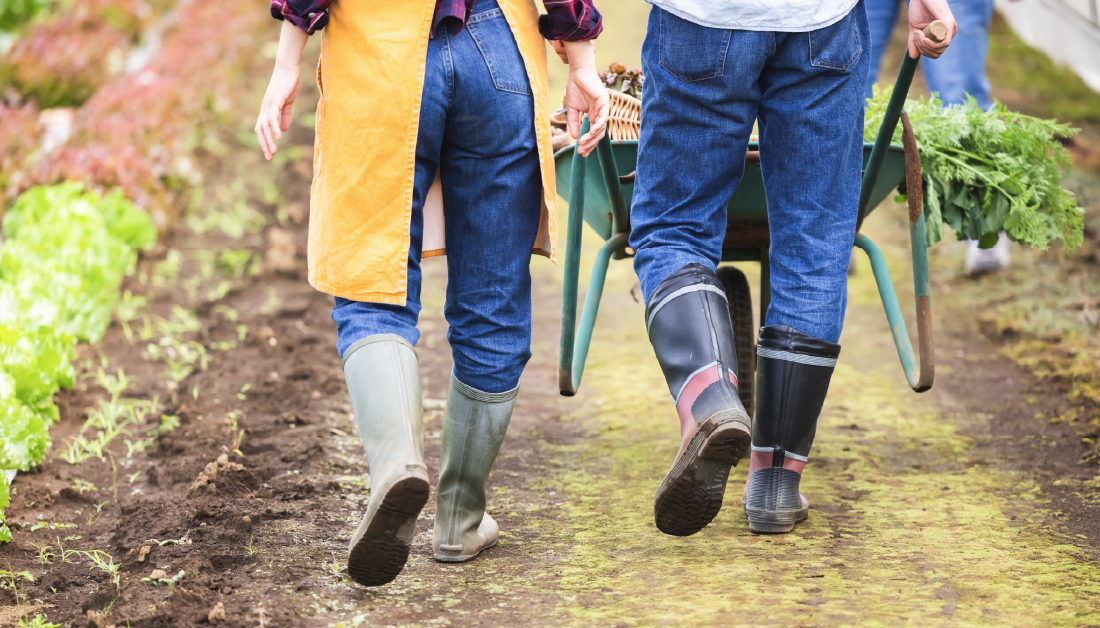 有機JAS（オーガニック）の農薬の使用について