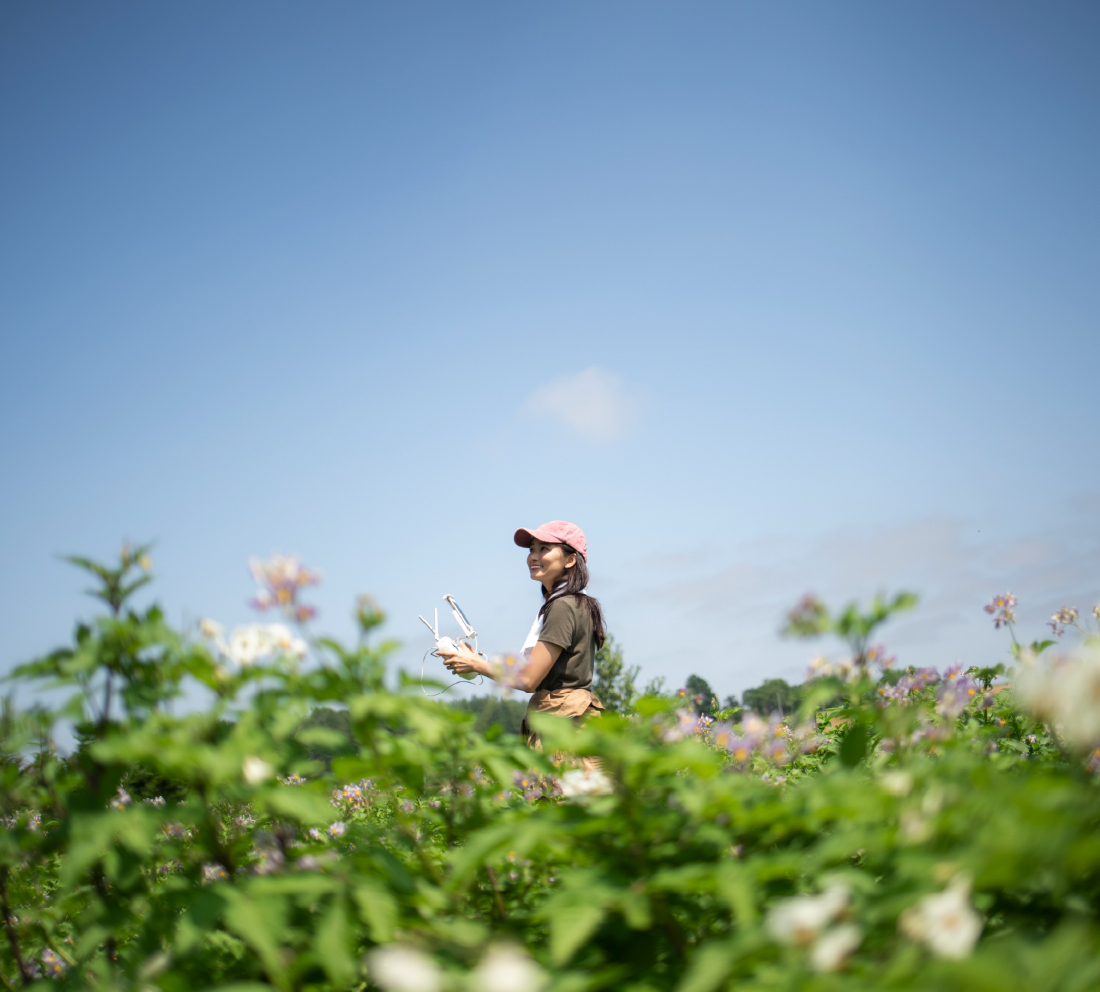 生産者が有機JASマークの認証を受けるメリット