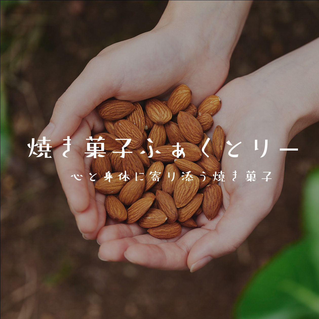 セミオーダー受注開始に伴う、一部サイトリニューアルのお知らせ